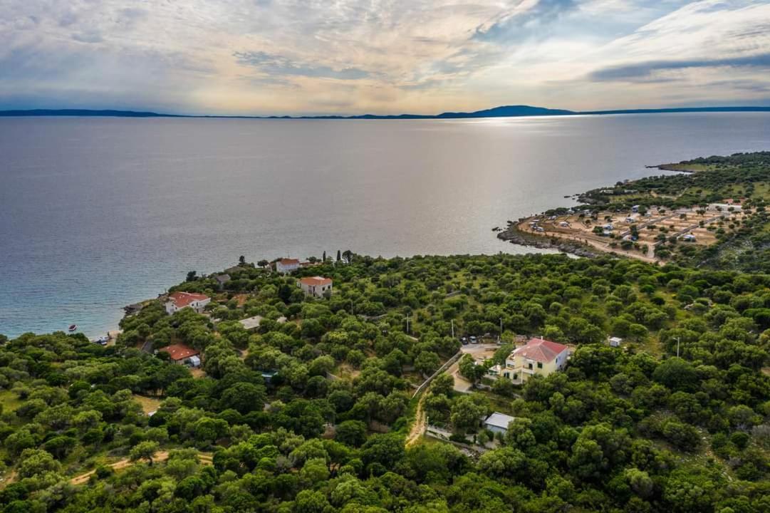 Kuca Za Odmor Denona Daire Borovići Dış mekan fotoğraf