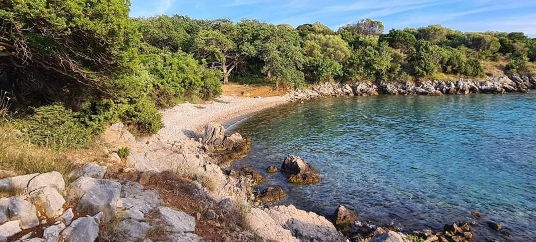 Kuca Za Odmor Denona Daire Borovići Dış mekan fotoğraf