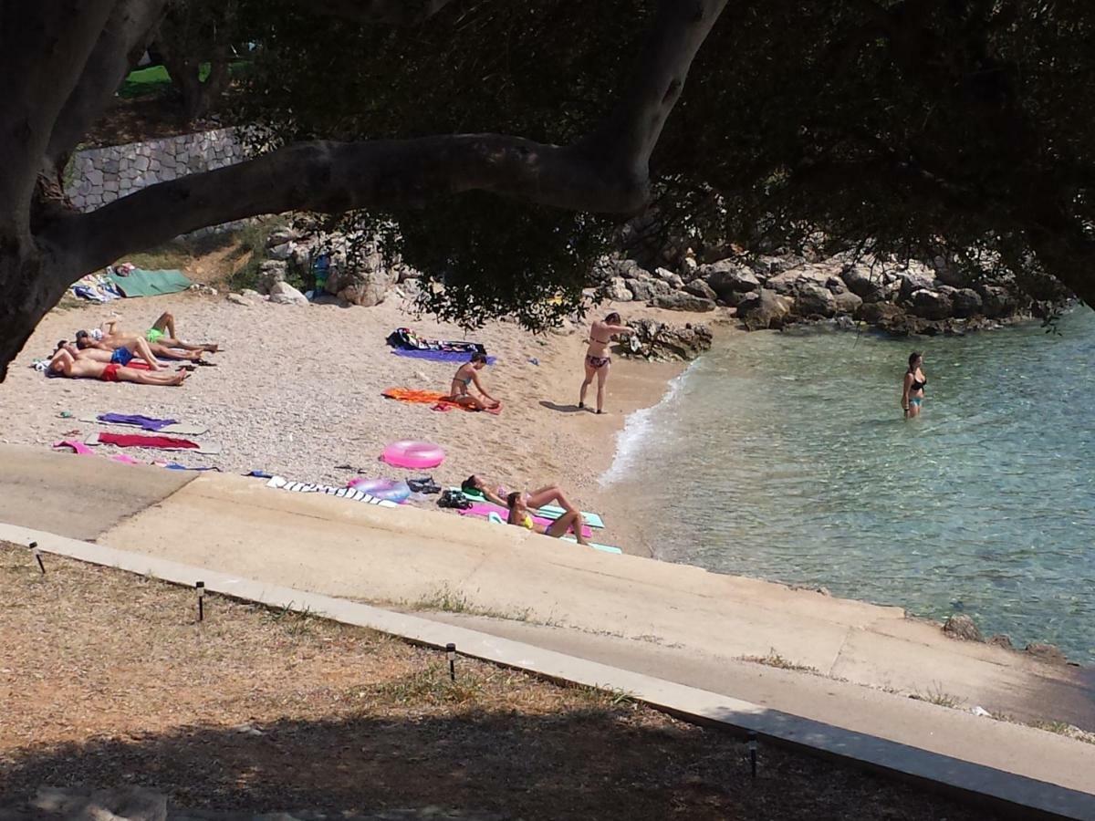 Kuca Za Odmor Denona Daire Borovići Dış mekan fotoğraf